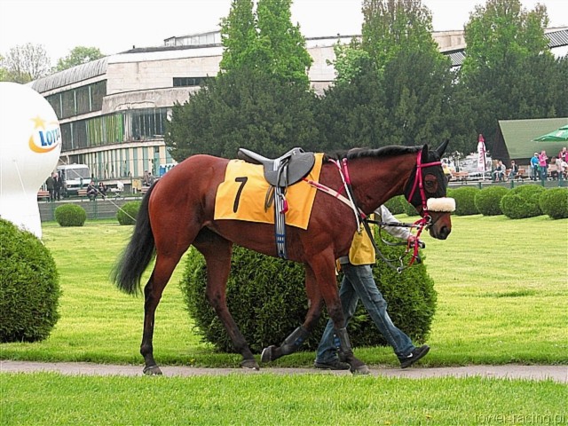 image_5.jpg