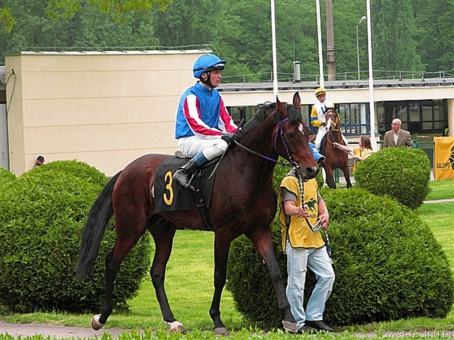 image_51.jpg
