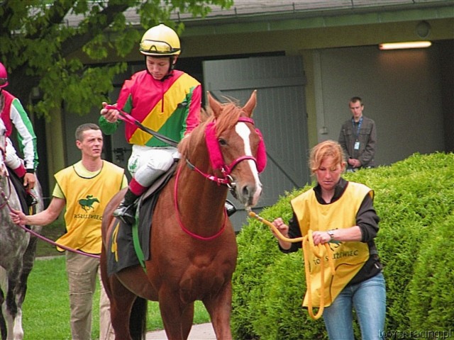 image_52.jpg