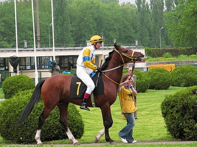 image_57.jpg