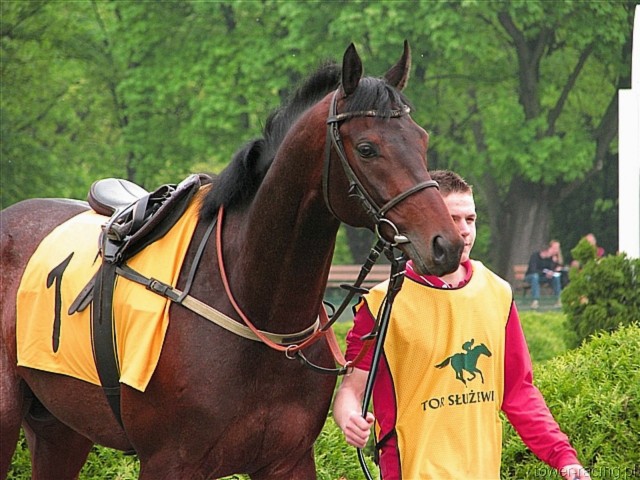 image_6.jpg