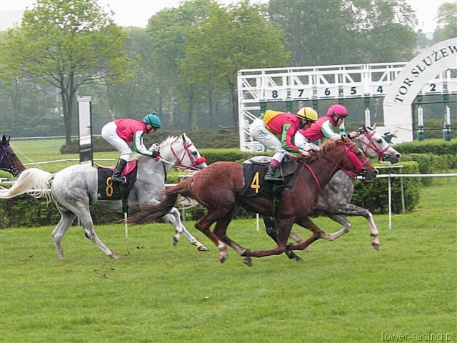 image_63.jpg