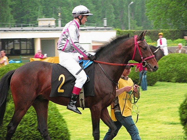 image_74.jpg