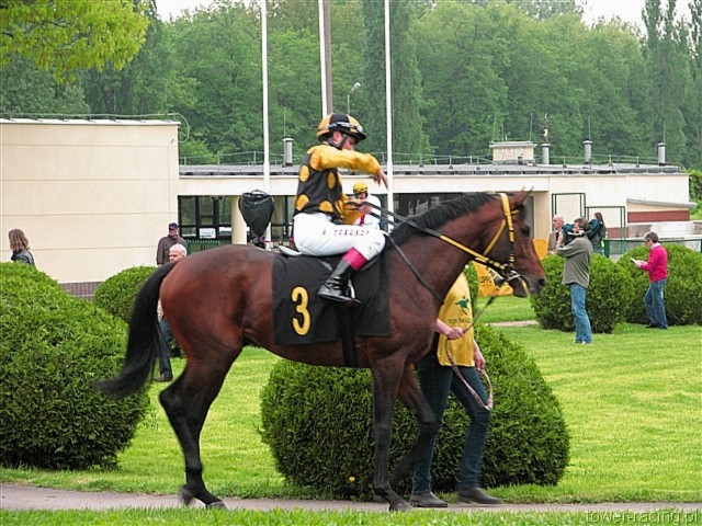 image_75.jpg
