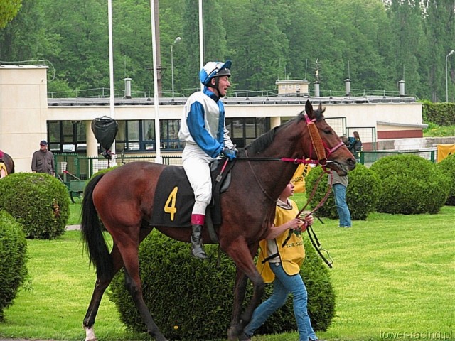 image_76.jpg