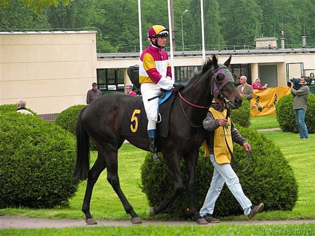 image_77.jpg