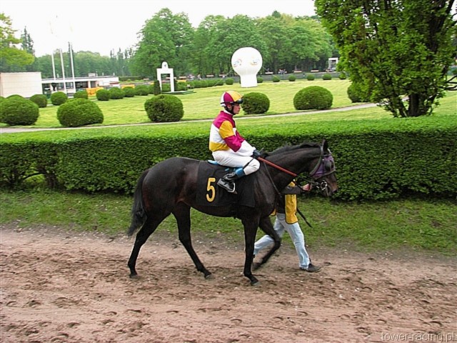 image_80.jpg