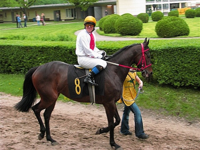 image_81.jpg