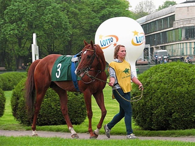 image_83.jpg