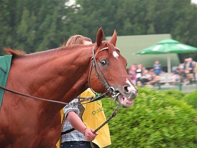 image_84.jpg