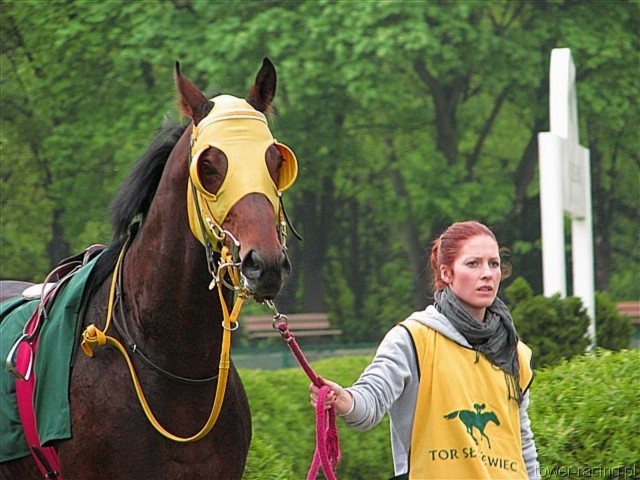 image_87.jpg