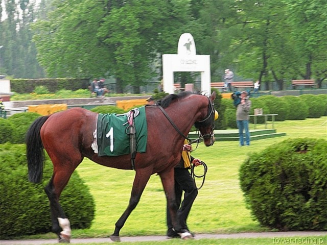 image_89.jpg