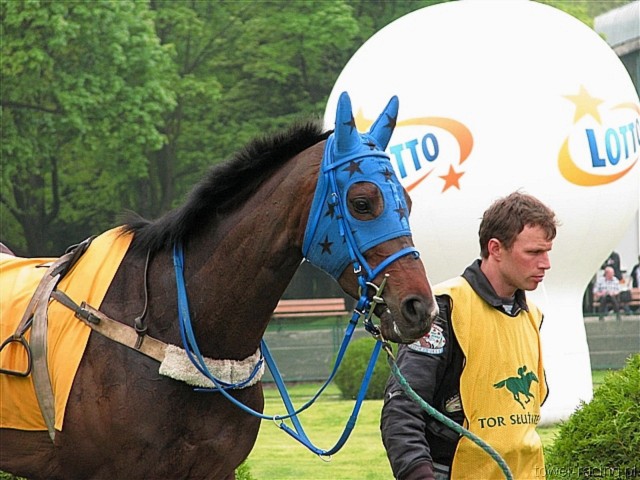 image_9.jpg
