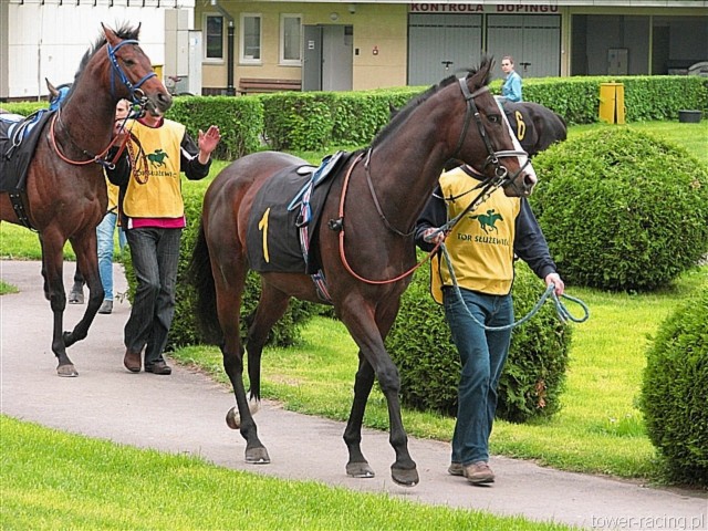image_1.jpg
