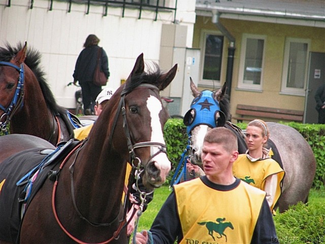 image_10.jpg
