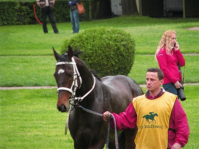image_102.jpg