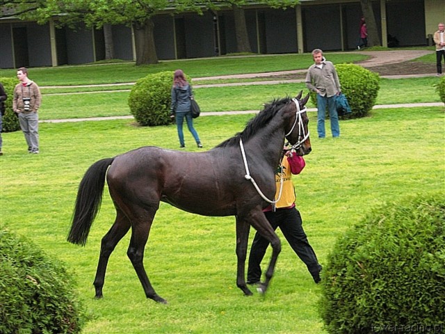 image_104.jpg