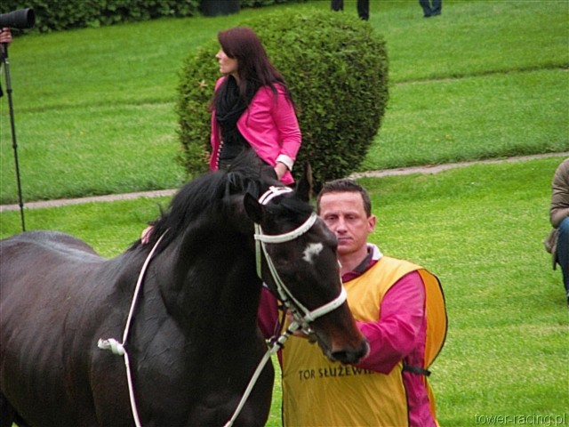 image_105.jpg