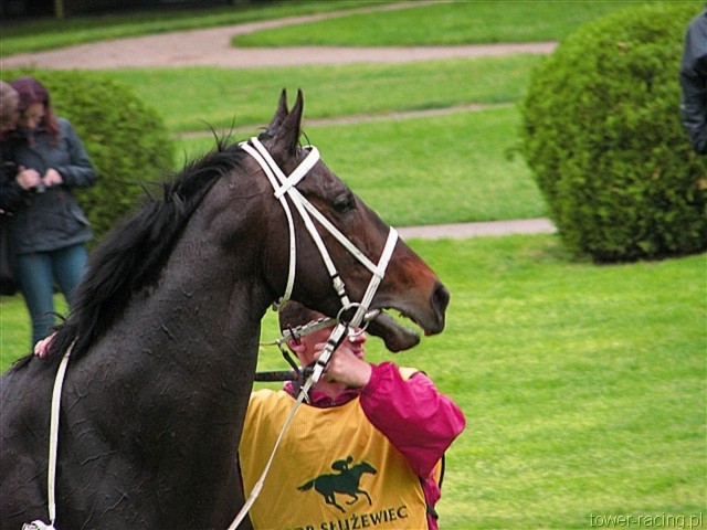 image_106.jpg