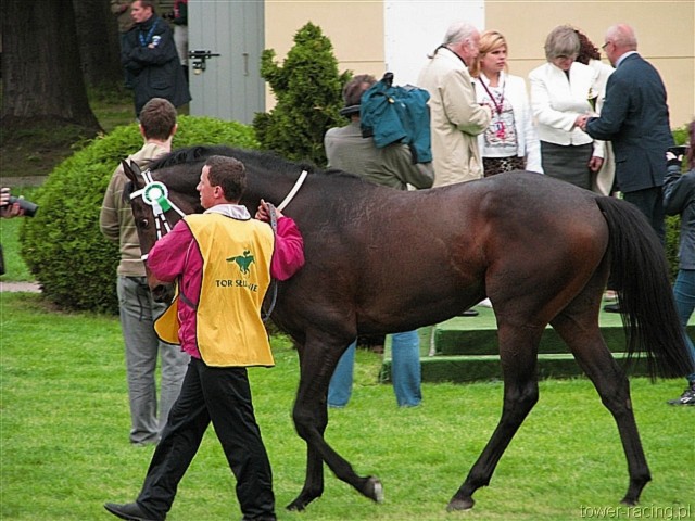 image_113.jpg