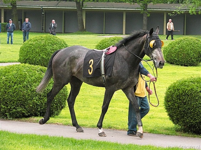 image_13.jpg
