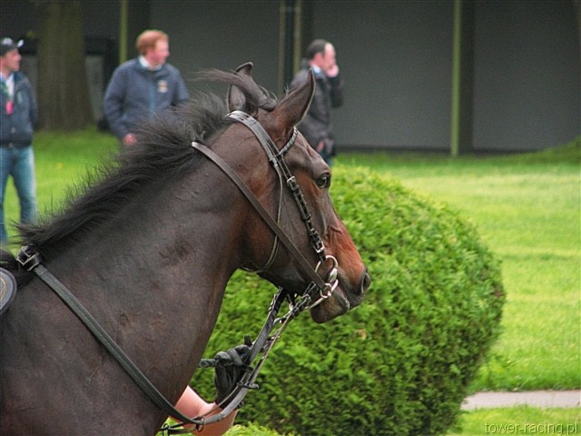 image_14.jpg