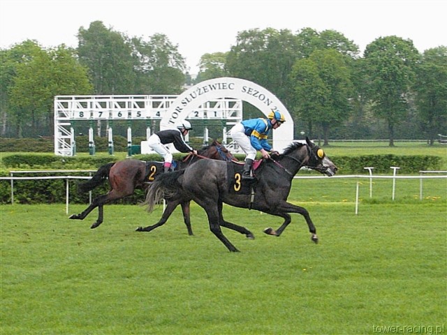image_16.jpg