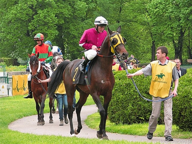 image_19.jpg
