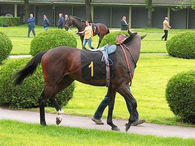 image_2.jpg