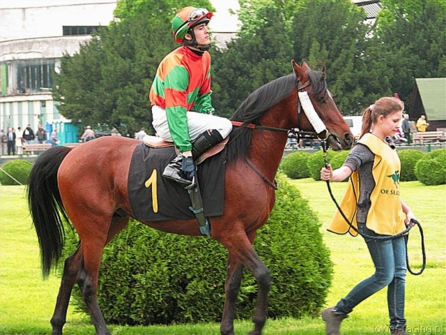 image_22.jpg