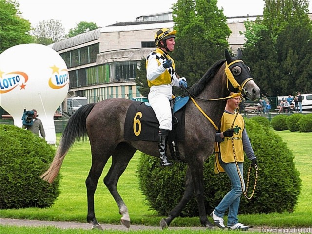image_25.jpg