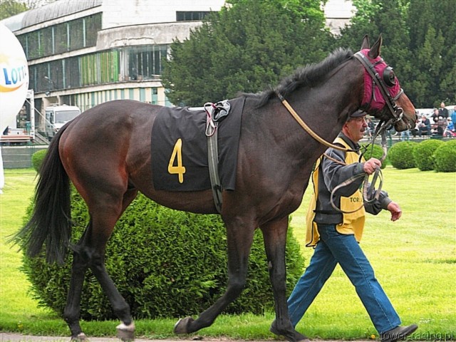 image_26.jpg