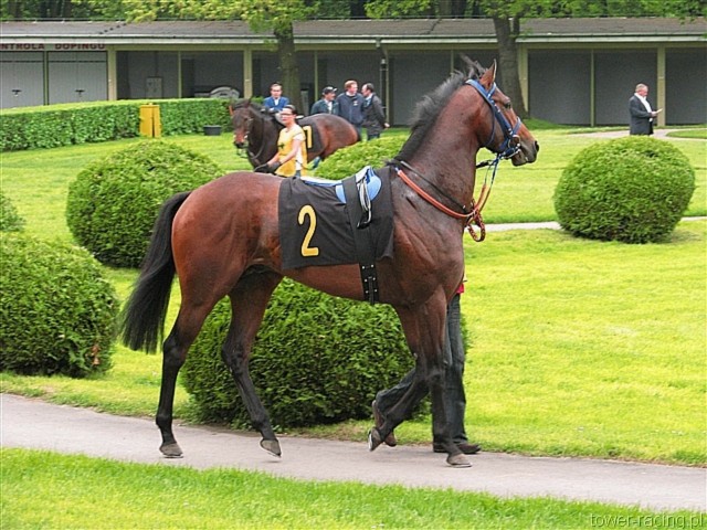 image_3.jpg