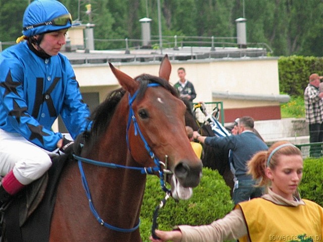 image_36.jpg