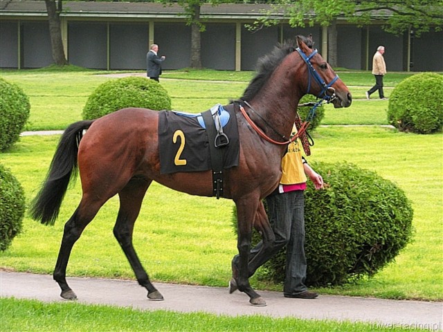 image_4.jpg