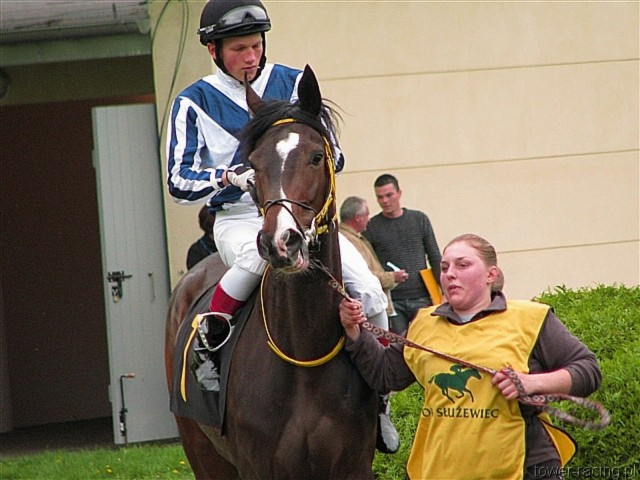image_41.jpg