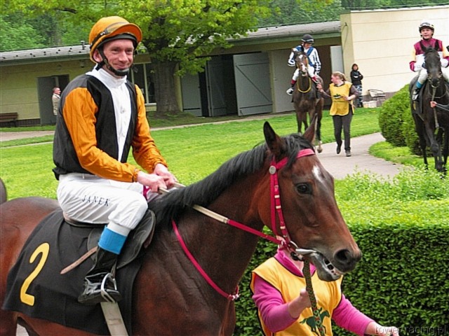 image_51.jpg