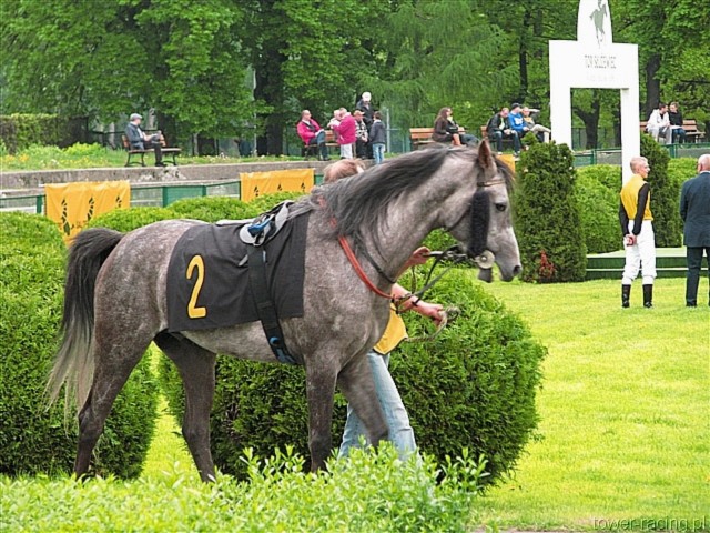 image_60.jpg
