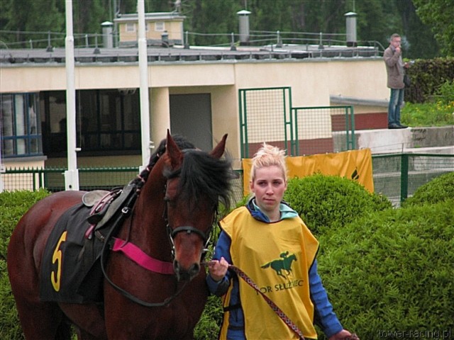 image_62.jpg