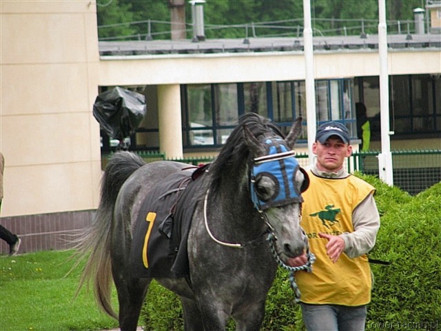 image_64.jpg
