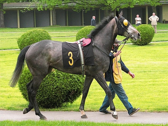 image_8.jpg