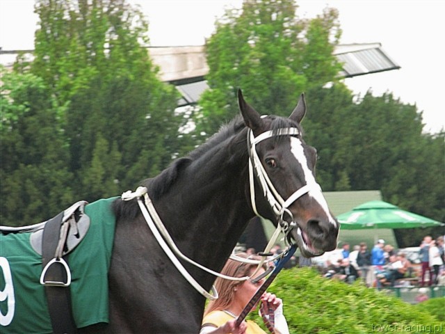image_80.jpg