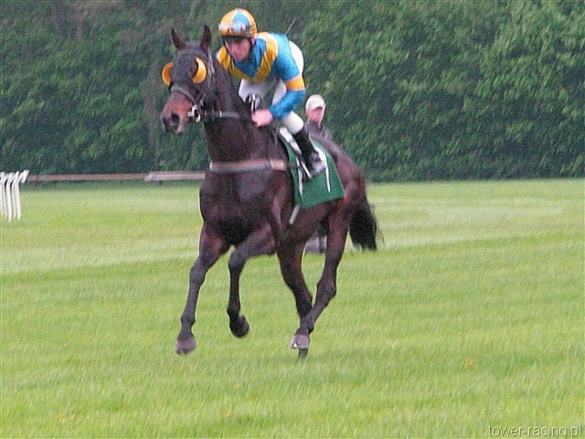 image_81.jpg