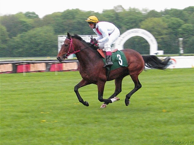 image_84.jpg