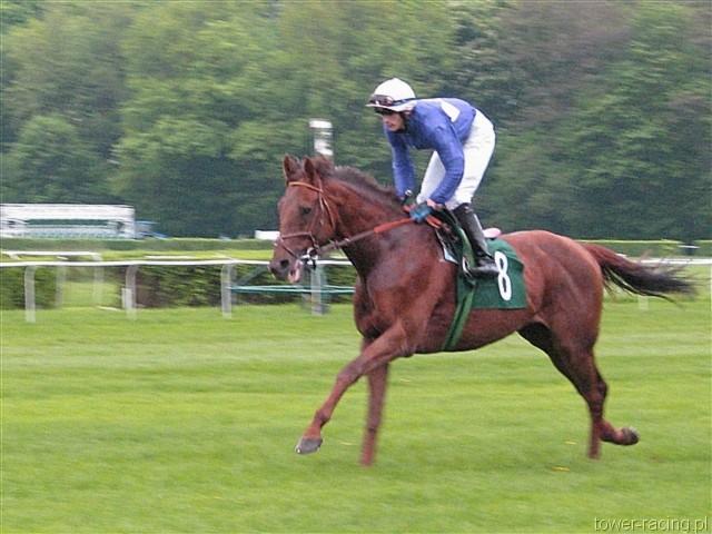 image_87.jpg