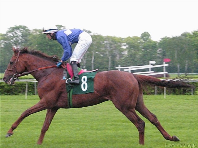 image_88.jpg