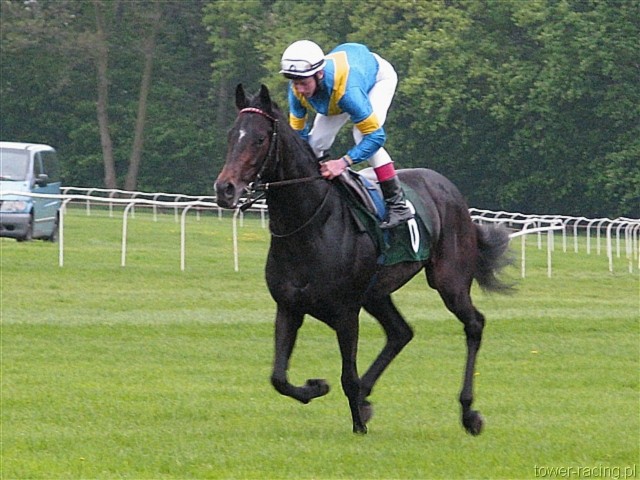 image_89.jpg