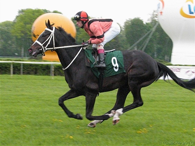 image_91.jpg