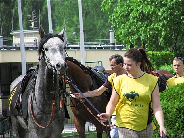 image_10.jpg