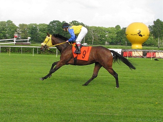 image_100.jpg